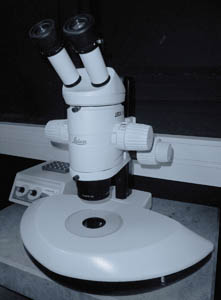 Leica stereomicroscope