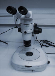 Nikon stereomicroscope