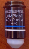 Olympus 40x picture